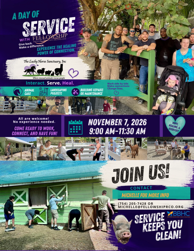 FRCO Day of Service at The Lucky Horse Sanctuary.